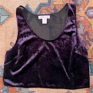 Urban Outfitters velvet purple crop top tank top